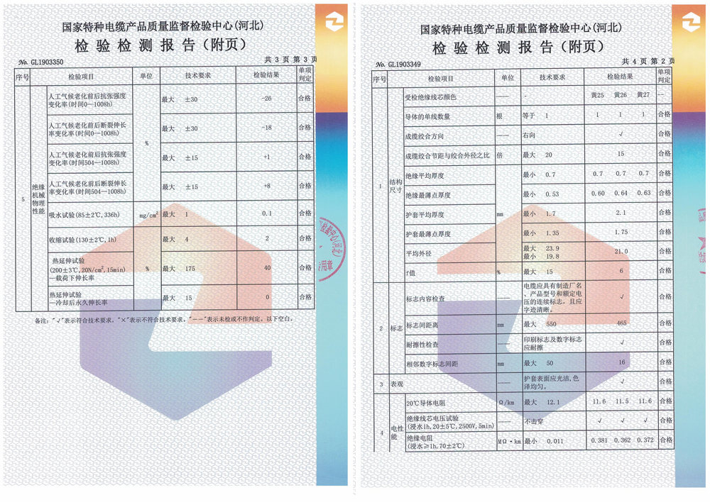 檢驗(yàn)報(bào)告